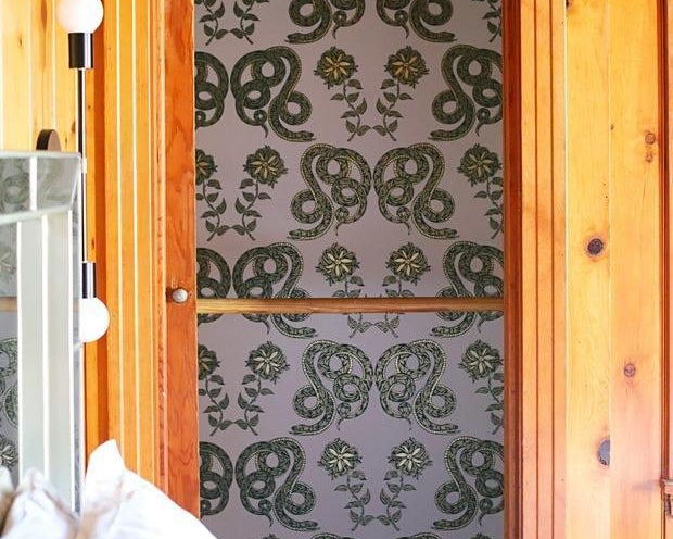 One Roll Project: Snakes in a Closet!