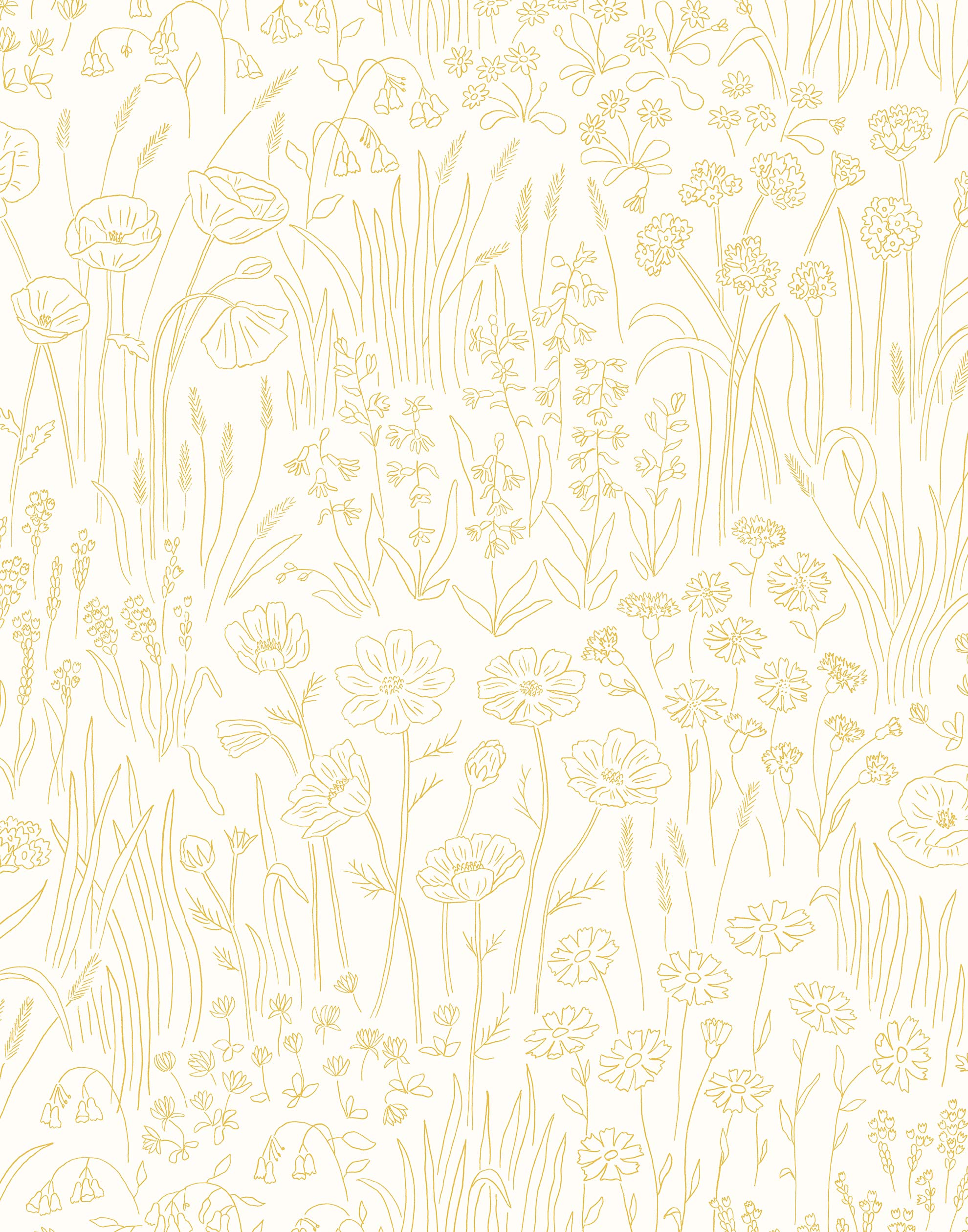 Alpine Garden Tonal (Chamomile) featuring hand drawn flowers in yellow on a white background | Schoolhouse x Hygge & West Wallpaper Collection