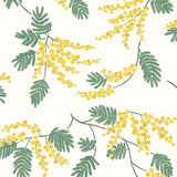 Wallpaper with yellow acacia flowers and green leaves on an off white background | Schoolhouse + Hygge & West