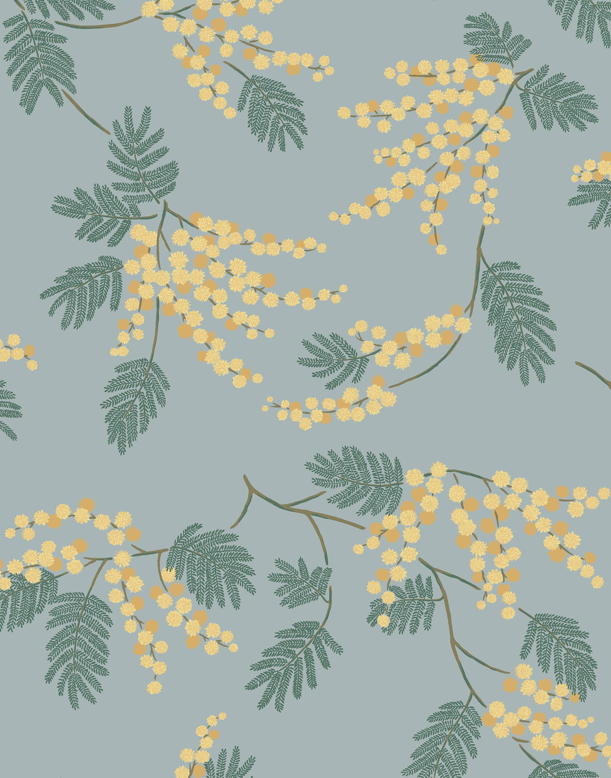 Wallpaper with yellow acacia flowers and green leaves on a dusty blue background | Schoolhouse + Hygge & West