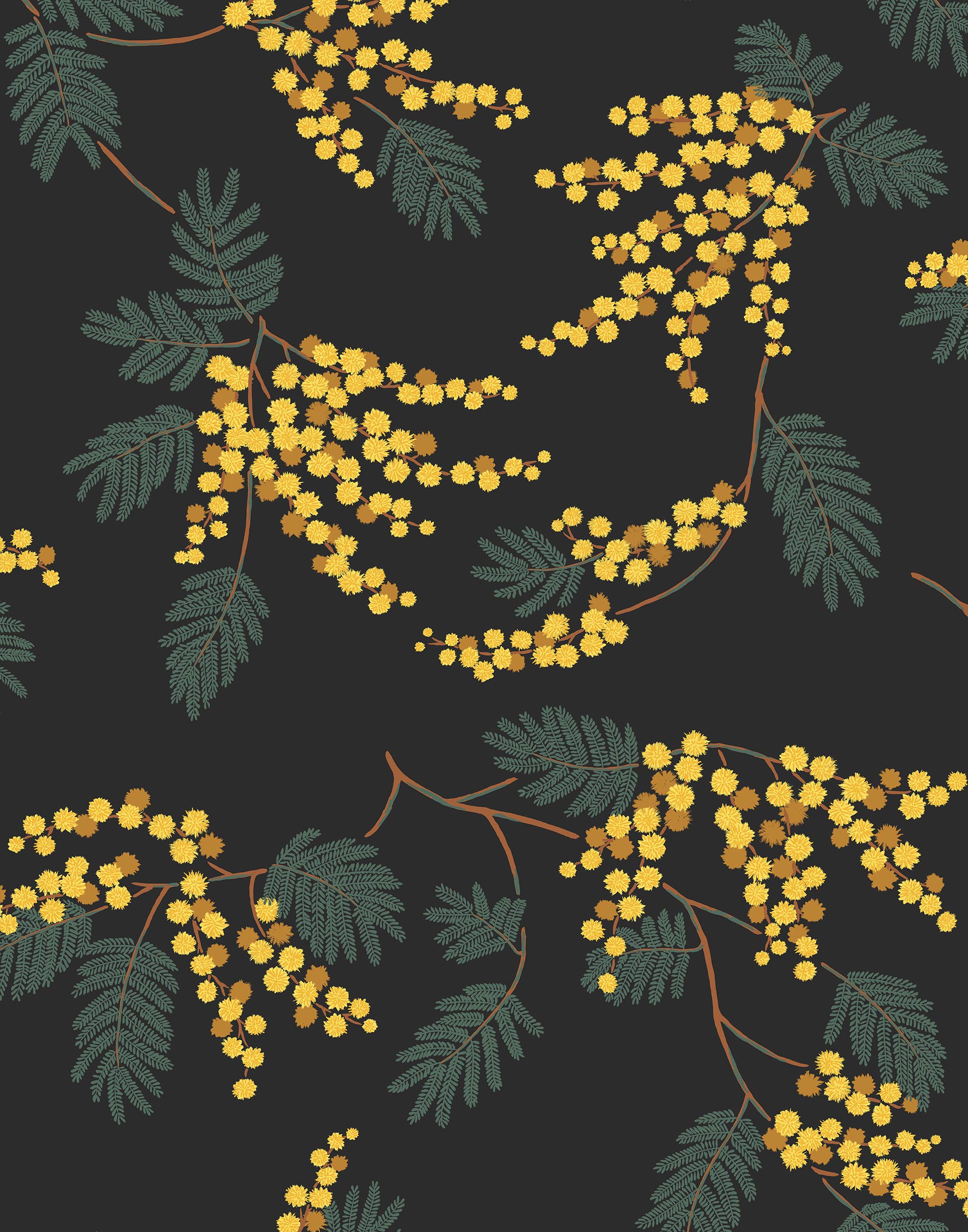 Wallpaper with yellow acacia flowers and green leaves on a soft black background | Schoolhouse + Hygge & West