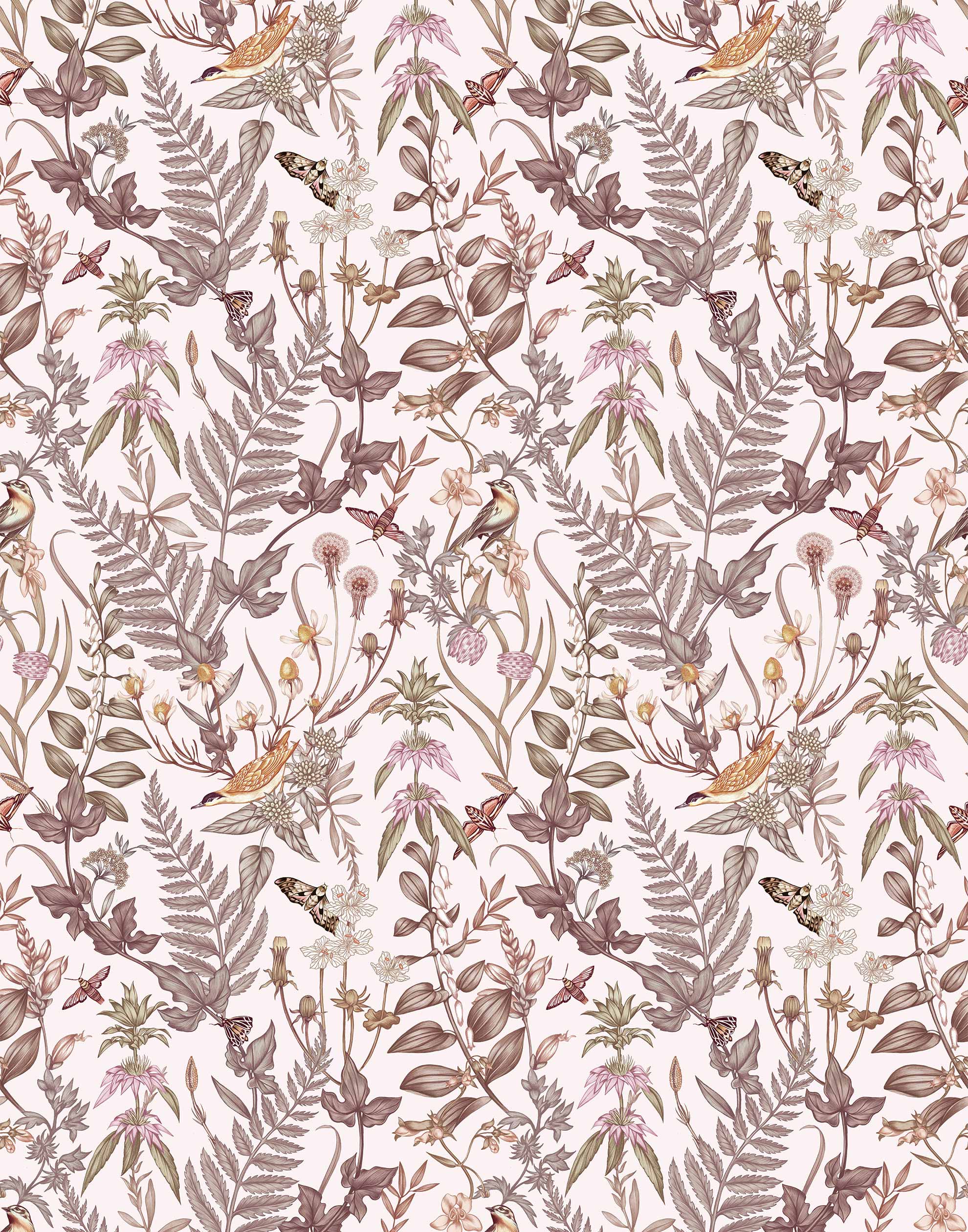 Secret Garden (Blush) wallpaper features shades of mauve, brown and taupe plants, birds and butterflies on blush pink background